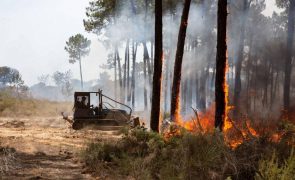 Incêndio em Faro volta à fase de resolução após reativação ser controlada