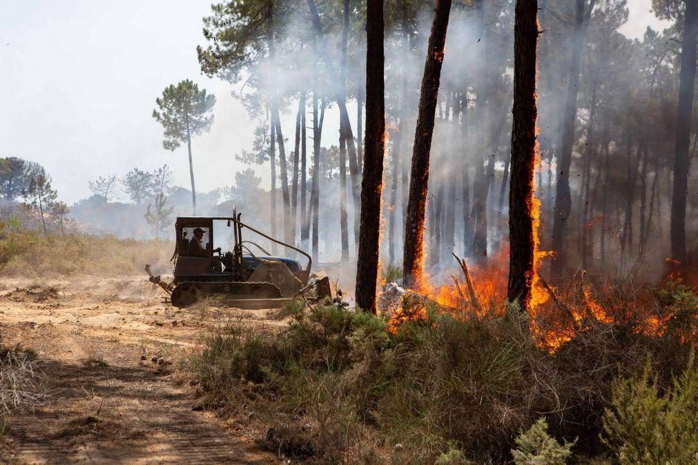 Incêndio em Faro volta à fase de resolução após reativação ser controlada