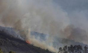 Incêndio de Espanha arde em Portugal mas sem perigo para aldeias de Bragança
