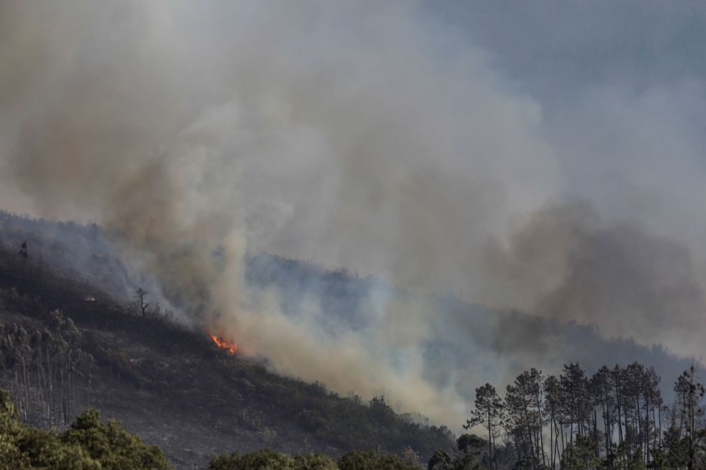 Incêndio de Espanha arde em Portugal mas sem perigo para aldeias de Bragança