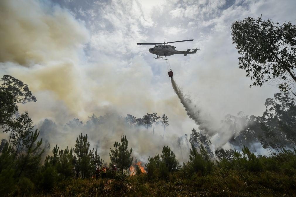 Mais de 50 pessoas detidas no sistema prisional pelo crime de incêndio florestal