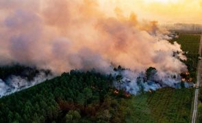 Europa Ocidental continua a combater fogos provocados por onda de calor