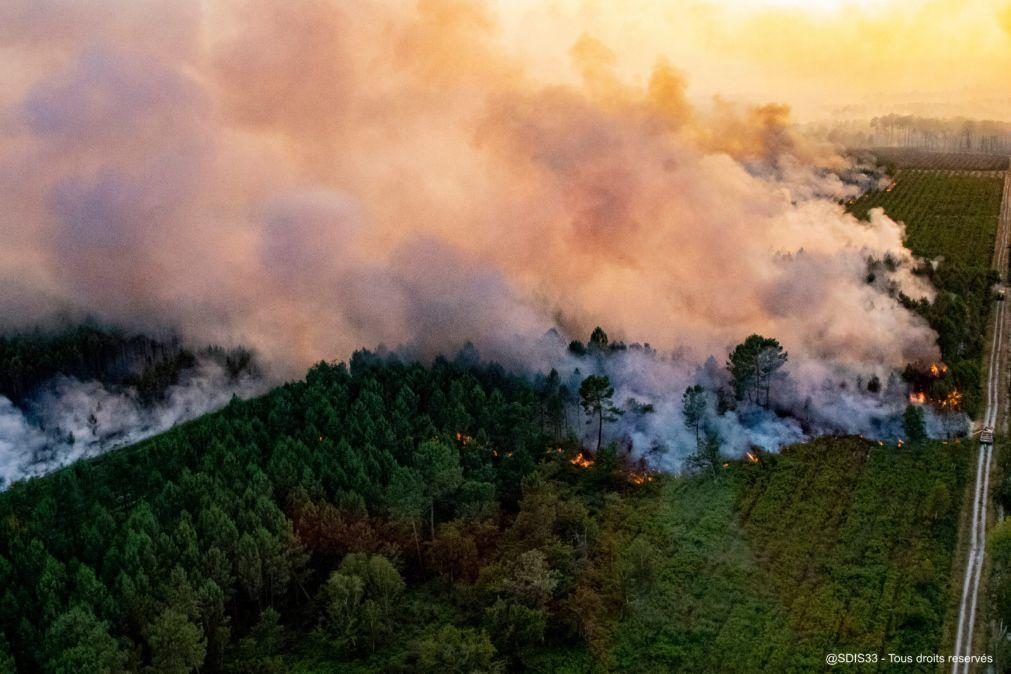 Europa Ocidental continua a combater fogos provocados por onda de calor
