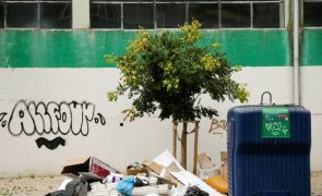 Pré-aviso de greve afeta recolha de lixo em Lisboa nos próximos dois dias