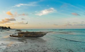 Zanzibar - Saiba o que explorar neste destino de sonho