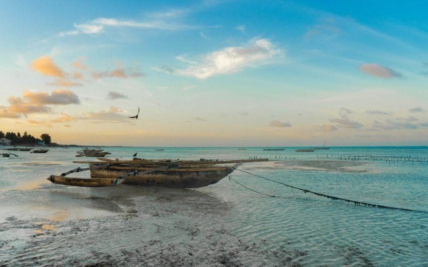 Zanzibar - Saiba o que explorar neste destino de sonho