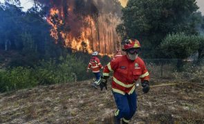 Fogo em Bustelo (Chaves) ameaçou populações e lavra em direção a Espanha