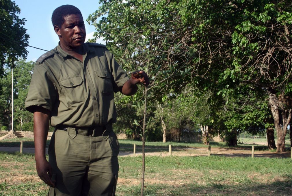 Governo moçambicano assina candidatura das Quirimbas a Reserva Mundial da Biosfera