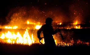 Fogos neste ano queimaram 3 vezes mais área da Europa do que nos últimos 12 anos