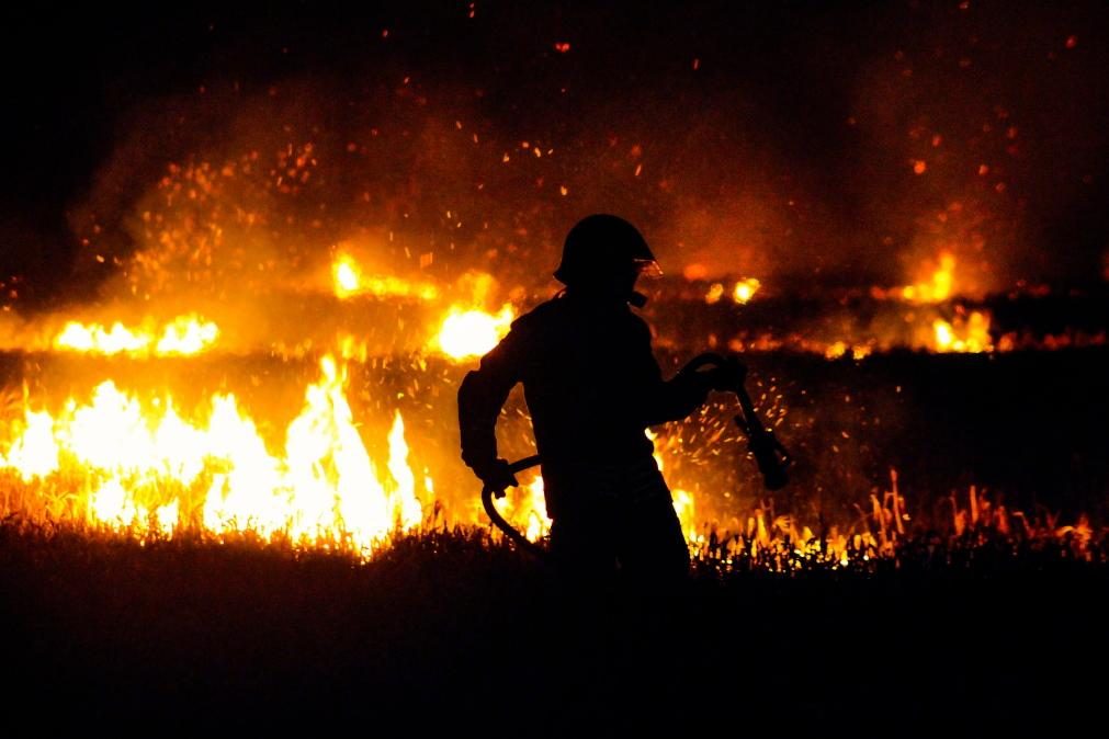 Fogos neste ano queimaram 3 vezes mais área da Europa do que nos últimos 12 anos