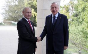 Exportação de cereais ucranianos discutida entre Putin e Erdogan