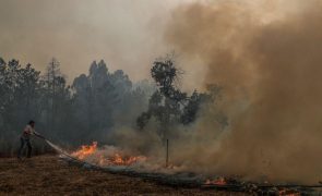 Constituído arguido suspeito de originar fogo em Celorico da Beira