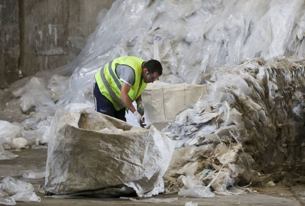 Valongo anuncia recorde na reciclagem com a valorização de 27,19% dos resíduos