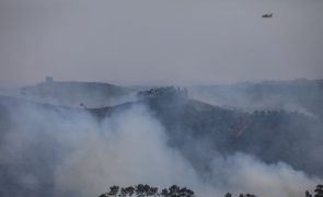 Cerca de 50 concelhos de nove distritos em perigo máximo de incêndio