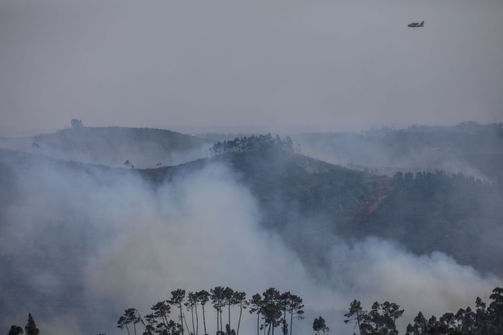 Cerca de 50 concelhos de nove distritos em perigo máximo de incêndio