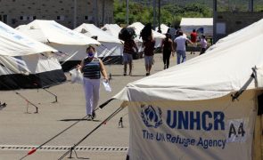 ACNUR retomou programa de repatriamento voluntário de refugiados da RDCongo em Angola