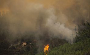 Fogo que começou em Murça consumiu mais de 10 mil hectares
