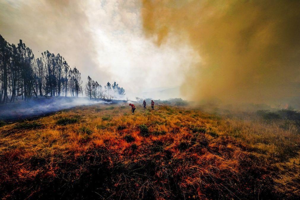 Mais de 50 detidos neste ano pelo crime de incêndio florestal