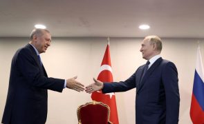 Putin assinala avanços para exportação de cereais ucranianos e elogia mediação turca