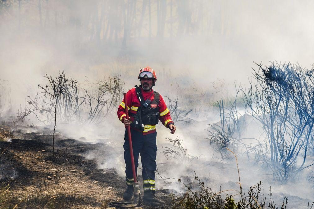 Universidade de Aveiro coordena projeto para diminuir propagação de fogos florestais