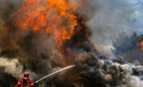 Fogo em Chaves terá consumido cerca de seis mil hectares