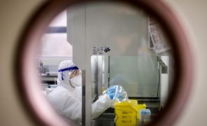 Portugal com 588 casos confirmados de infeção pelo vírus Monkeypox e primeiros contactos vacinados