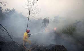 Quatro incêndios ativos, o mais grave em Lamego
