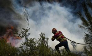 Mais de 110 operacionais combatem fogo no concelho de Silves