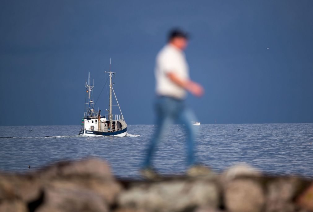 Quota de pesca do bacalhau no mar de Barents pode diminuir em 2018