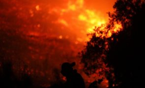 Quatro grandes incêndios florestais na Grécia obrigam à evacuação de hóteis e casas