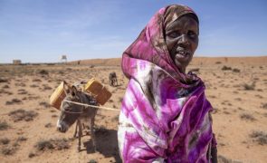 Mais de sete milhões de somalis à beira da fome devido à seca