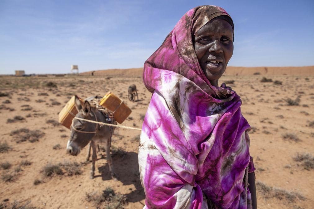 Mais de sete milhões de somalis à beira da fome devido à seca