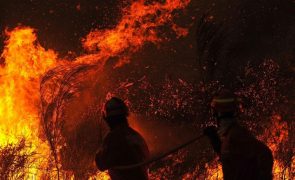 Bombeiros trabalham para dominar fogo de Penacova durante a noite -- Proteção Civil