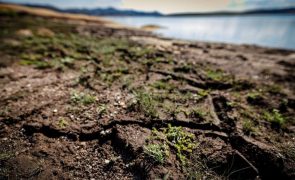 Sabugal aprova plano de contingência para água em situações de seca extrema