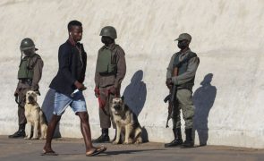 Moçambique/Ataques: Comandante da polícia em Cabo Delgado pede 