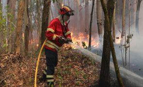 Incêndios: Dominado fogo no concelho da Trofa, Portugal sem fogos ativos