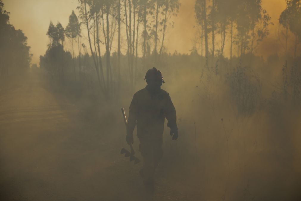 Detida suspeita de ter ateado pelo menos 11 incêndios em Paredes de Coura