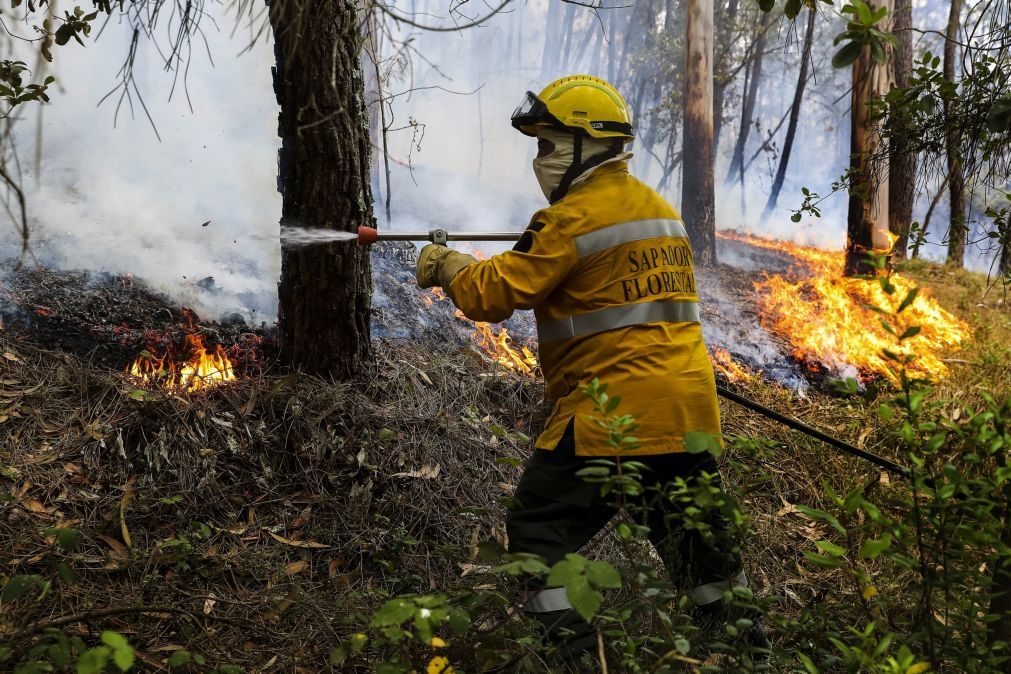 Cerca de 70 concelhos de oito distritos em perigo máximo de incêndio