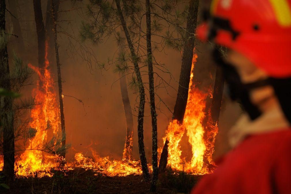 Cerca de 1.500 hectares de área ardida no fogo de Vila Pouca de Aguiar