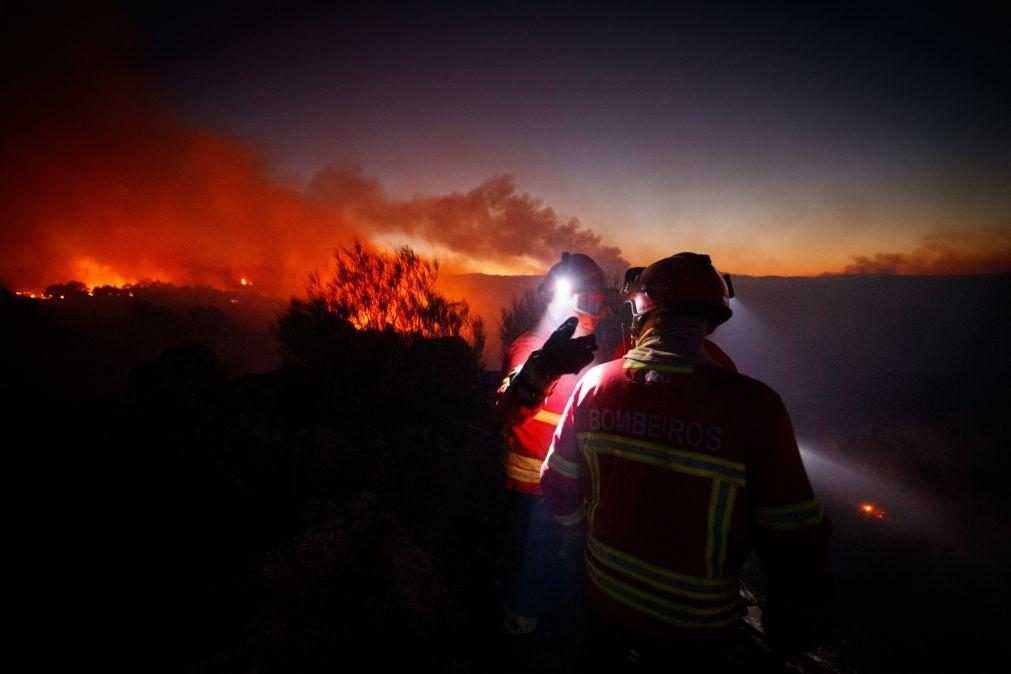 Vila Pouca de Aguiar perdeu 4.000 hectares em dois grandes fogos