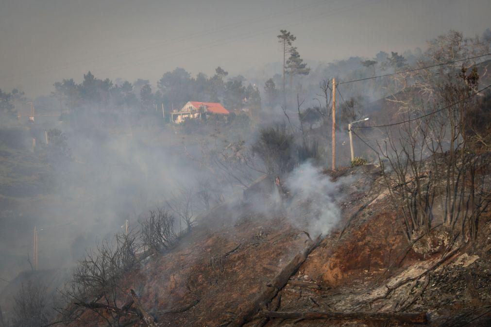 Proteção Civil da Madeira intensifica campanha de prevenção de fogos rurais