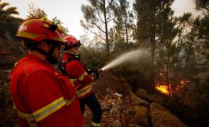 Incêndios: Portugal sem situações preocupantes às 22:30, fogo de Vila Pouca de Aguiar dominado