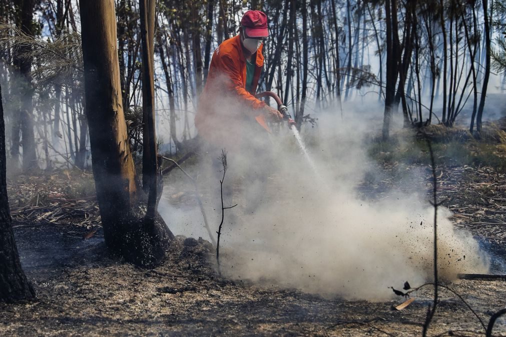 Incêndio em Vila Pouca de Aguiar reativou-se durante a madrugada, não há casas em risco