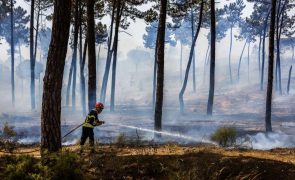 Incêndios: Dominado fogo em Paços de Ferreira