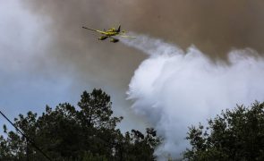 Cerca de 130 concelhos do interior Norte e Centro em perigo máximo de incêndio