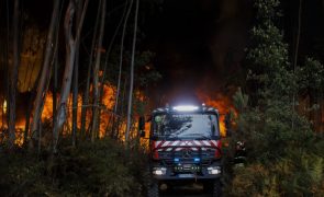 Dez incêndios em curso mobilizam mil operacionais sobretudo em Santarém, Coimbra e Leiria