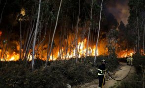 Mais de 400 bombeiros em Penacova no único fogo preocupante às 22:30