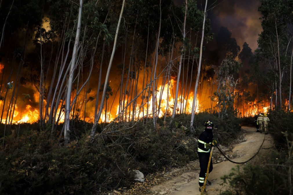 Mais de 400 bombeiros em Penacova no único fogo preocupante às 22:30