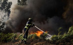 Chamas extintas em Penacova, três fogos ativos em Portugal continental