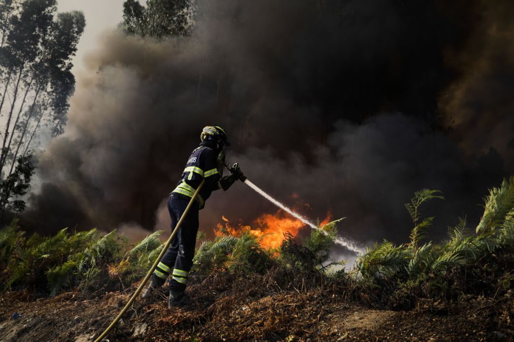 Chamas extintas em Penacova, três fogos ativos em Portugal continental